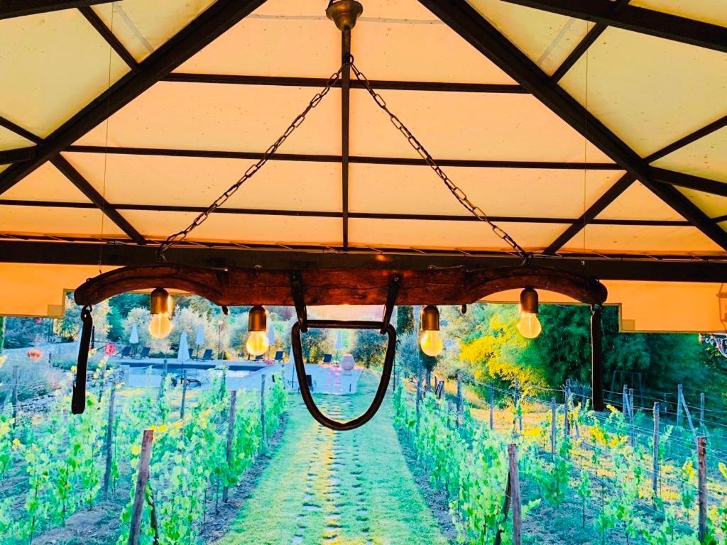 Agriturismo Borgo Il Bonagino Radda in Chianti Exteriér fotografie