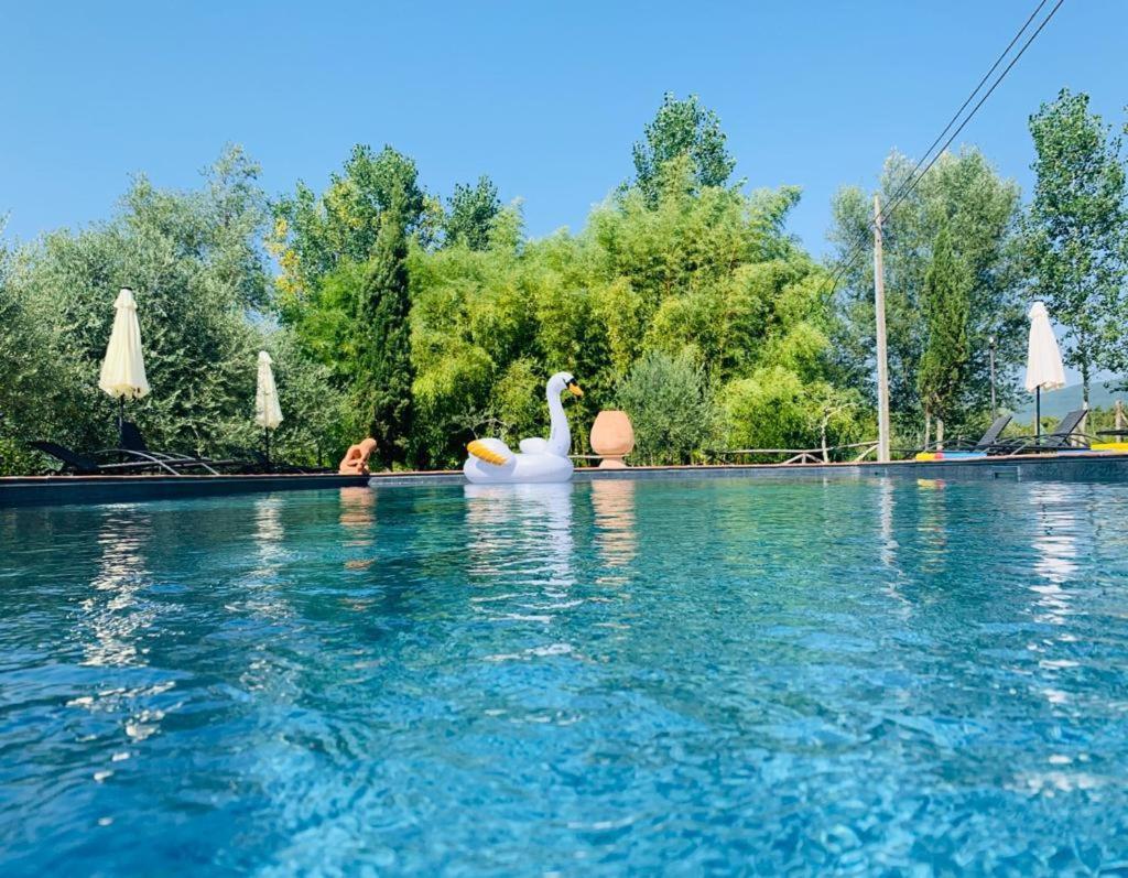 Agriturismo Borgo Il Bonagino Radda in Chianti Exteriér fotografie