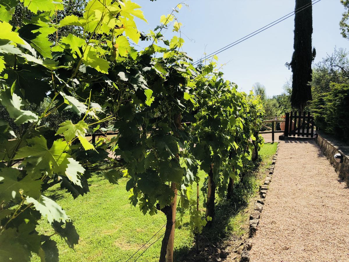 Agriturismo Borgo Il Bonagino Radda in Chianti Exteriér fotografie