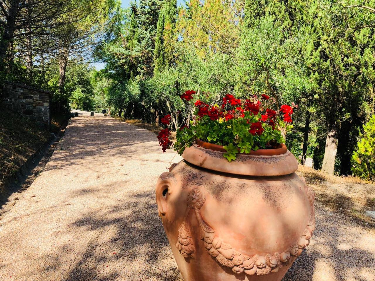 Agriturismo Borgo Il Bonagino Radda in Chianti Exteriér fotografie